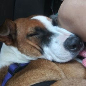 Meet your Posher, Amber